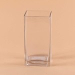 Clear Square Glass Vase