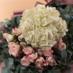 Baby Rose Reflex with Hydrangea White Bouquet