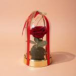Eternal Red Rose in Glass Dome with Gold Base