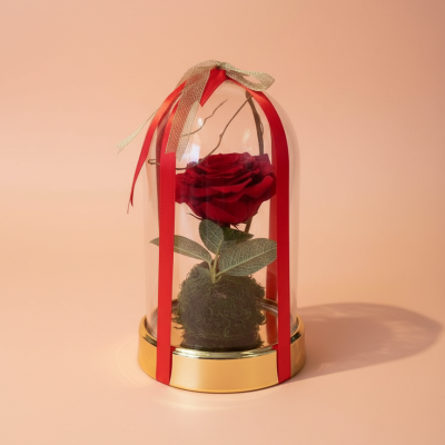 Eternal Red Rose in Glass Dome with Gold Base